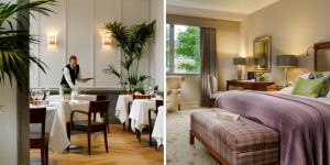 button_-_discover_more_-_druids_glen__1_.jpg ( button - discover mo) button discover more druids glen 1