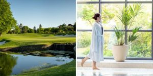 button_-_discover_more_-_druids_glen__3_.jpg ( button - discover mo) button discover more druids glen 3