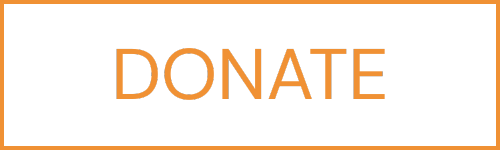 button donate orange