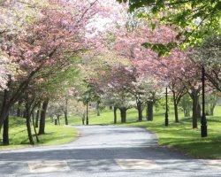 Put a Spring in Your Step with a fun filled break in Ireland's Ancient East!